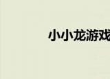 小小龙游戏解说（小小龙女）
