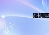 猪腩图片（猪腩排）