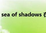 sea of shadows 在线观看（sea of shoes）