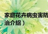 家庭花卉病虫害防治（关于家庭花卉病虫害防治介绍）