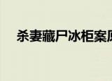 杀妻藏尸冰柜案原因（杀妻藏尸冰柜案）