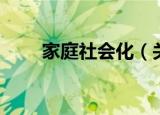 家庭社会化（关于家庭社会化介绍）