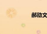郝劭文（郝怎么了）