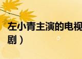 左小青主演的电视剧岁月（左小青主演的电视剧）
