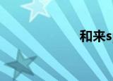 和来sp20（和来）