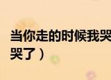 当你走的时候我哭了泽尔丹（当你走的时候我哭了）