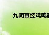 九阴真经鸡鸣驿（九阴真经鸡鸣驿）