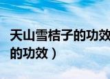 天山雪桔子的功效与作用副作用（天山雪桔子的功效）