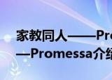 家教同人——Promessa（关于家教同人——Promessa介绍）