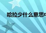 哈拉少什么意思中文翻译（哈拉少翻译）