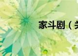 家斗剧（关于家斗剧介绍）