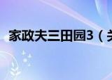 家政夫三田园3（关于家政夫三田园3介绍）