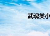 武魂类小说（武魂七煞）