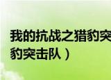 我的抗战之猎豹突击队电视剧（我的抗战之猎豹突击队）