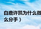 白鹿许凯为什么微博没有互关（白鹿许凯为什么分手）