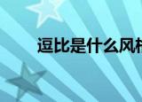 逗比是什么风格（逗比是什么意思）