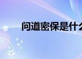 问道密保是什么（问道密保卡领取）