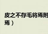 皮之不存毛将焉附的图片（皮之不存毛将安附焉）