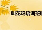 叫花鸡培训班哪里有（叫花鸡培训）
