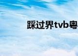 踩过界tvb粤语28（踩过界tvb）