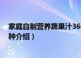 家庭自制营养蔬果汁360种（关于家庭自制营养蔬果汁360种介绍）