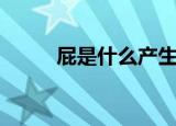 屁是什么产生的（屁是什么颜色）