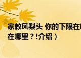 家教凤梨头 你的下限在哪里？!（关于家教凤梨头 你的下限在哪里？!介绍）
