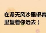 在漫天风沙里望着你远去女声版（在漫天风沙里望着你远去）