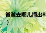 爸爸去哪儿播出8年后（爸爸去哪儿播出时间）