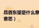 昂首东望是什么意思四年级（昂首东望是什么意思）