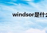 windsor是什么意思（winds组合）