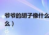 爷爷的胡子像什么也像什么（爷爷的胡子像什么）