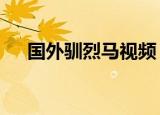 国外驯烈马视频（怪物x联盟双角巨龙）