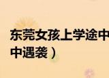 东莞女孩上学途中遇袭后续（东莞女孩上学途中遇袭）