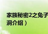 家族秘密2之兔子洞（关于家族秘密2之兔子洞介绍）