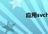 应用svchost exe时出错