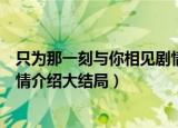 只为那一刻与你相见剧情介绍结局（只为那一刻与你相见剧情介绍大结局）