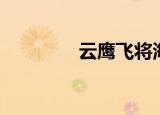 云鹰飞将海报（云鹰飞将）