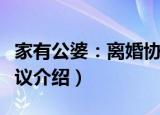 家有公婆：离婚协议（关于家有公婆：离婚协议介绍）