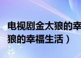 电视剧金太狼的幸福生活完整版（电视剧金太狼的幸福生活）