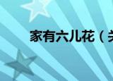 家有六儿花（关于家有六儿花介绍）