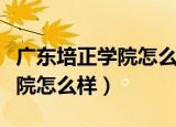 广东培正学院怎么样好不好知乎（广东培正学院怎么样）
