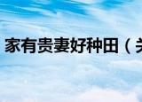 家有贵妻好种田（关于家有贵妻好种田介绍）
