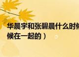 华晨宇和张碧晨什么时候在一起的（华晨宇和张碧晨什么时候在一起的）