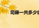 司藤一共多少级（司藤一共多少集）