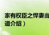 家有权臣之悍妻当道（关于家有权臣之悍妻当道介绍）