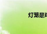 灯笼是鸡的哪一部分？