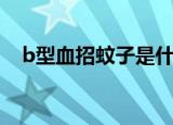 b型血招蚊子是什么意思（b型血招蚊子）