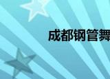 成都钢管舞培训（成都钢管）