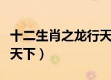 十二生肖之龙行天下主题曲（十二生肖之龙行天下）